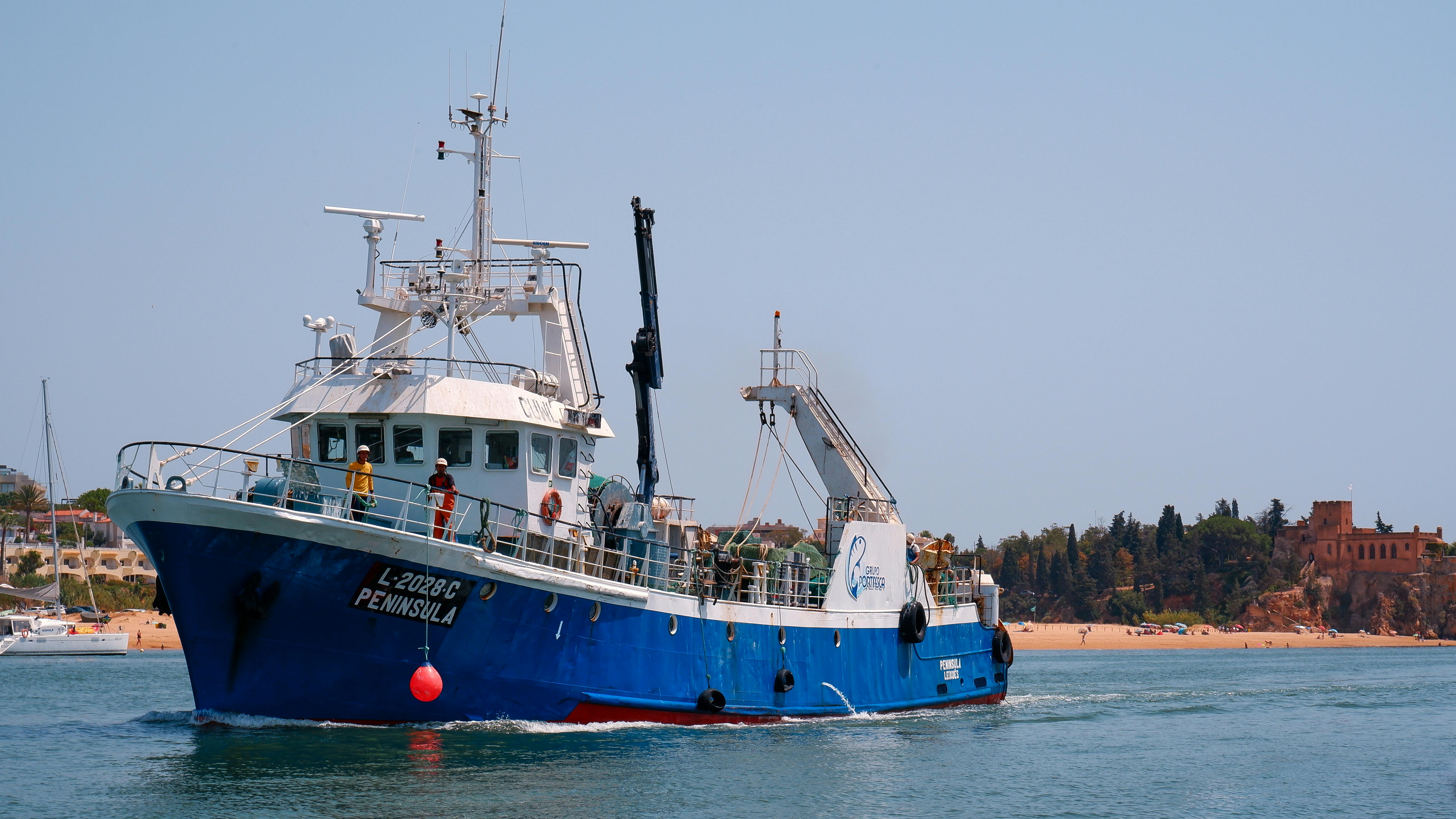 Fresh seafood display